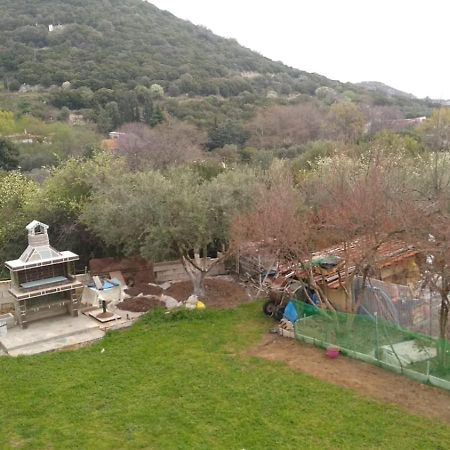 Martha'S Villa Nea Iraklitsa Экстерьер фото