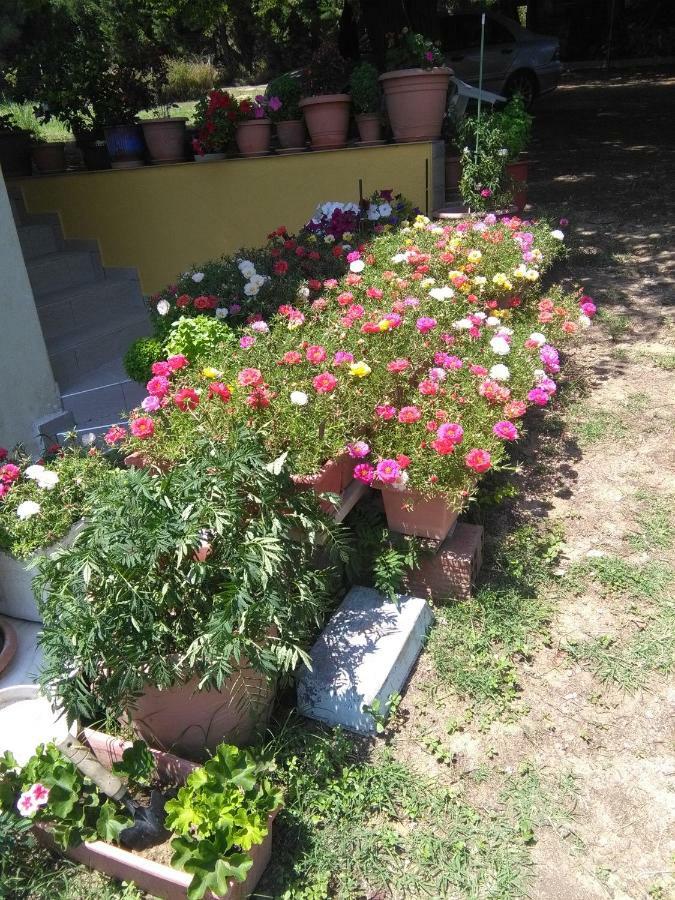 Martha'S Villa Nea Iraklitsa Экстерьер фото